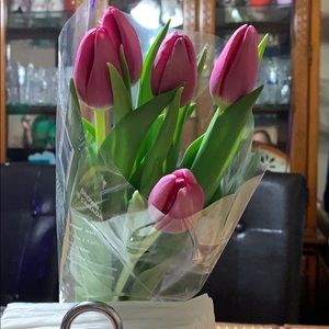 Meet your Posher, Mary ann